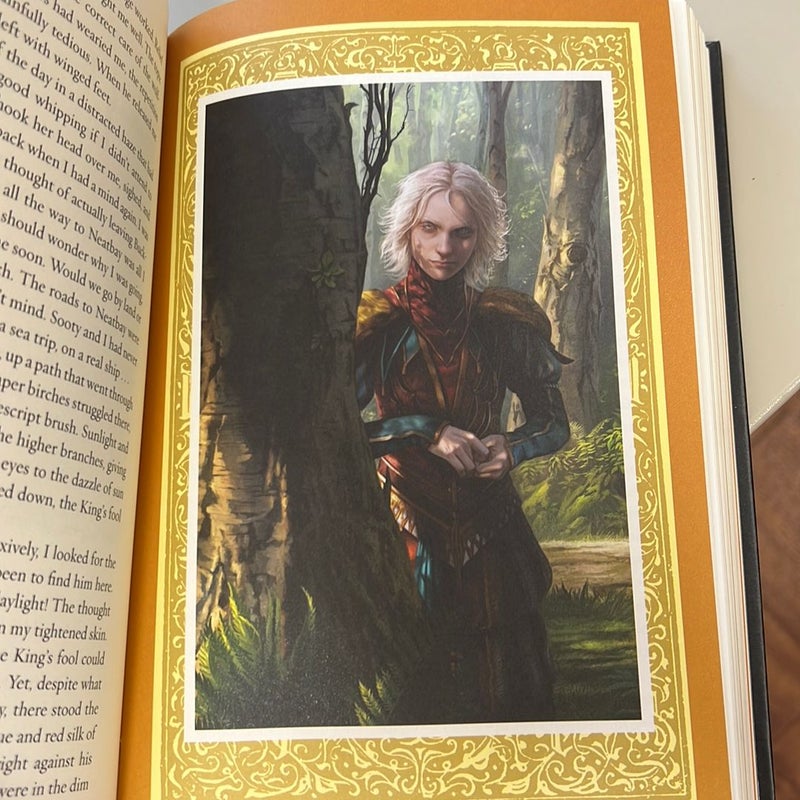 Assassin's Apprentice (the Illustrated Edition)