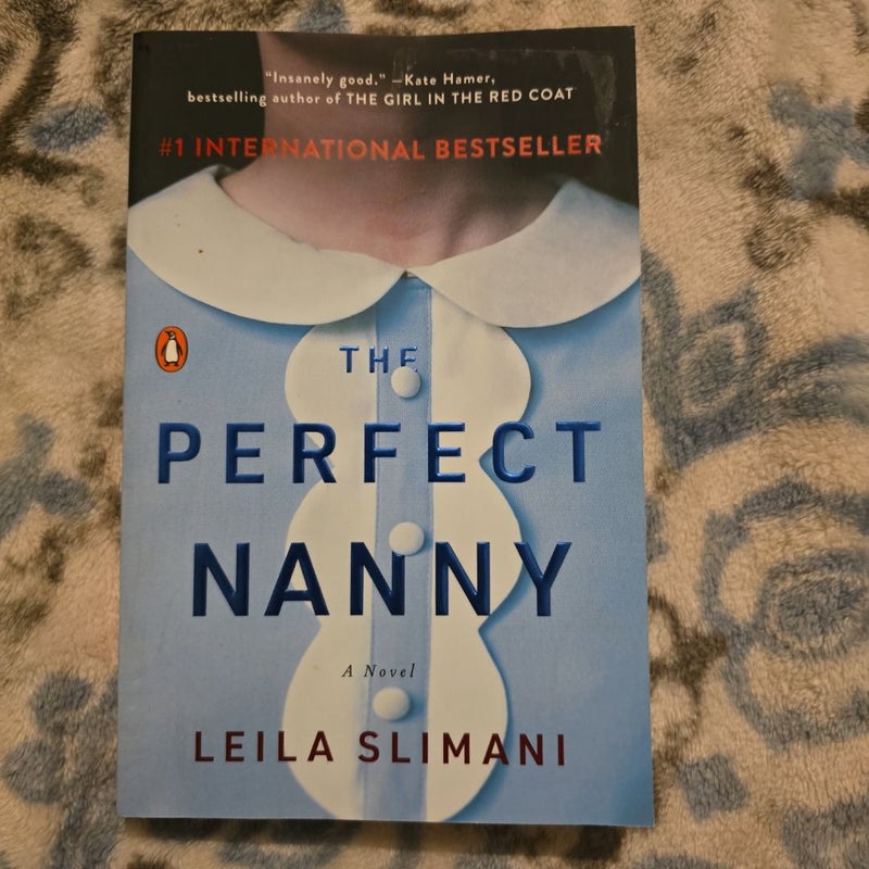 The Perfect Nanny