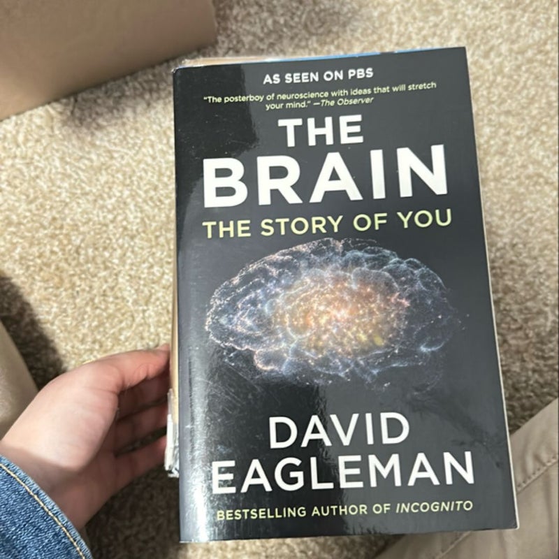 The Brain