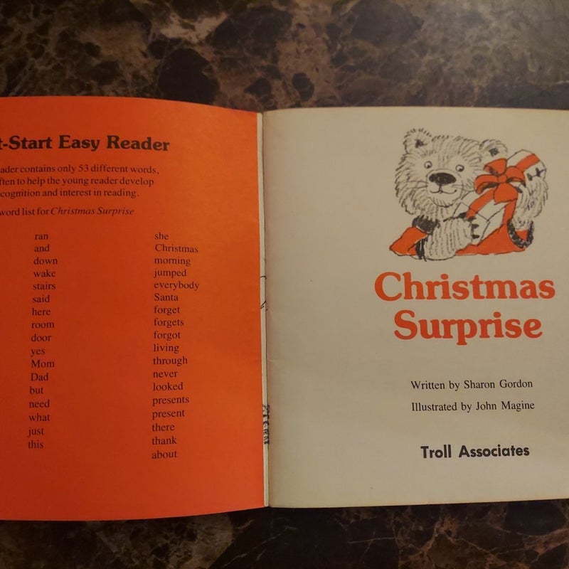 Christmas Surprise