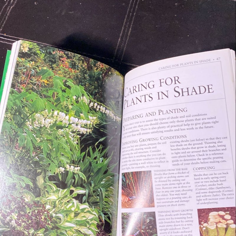 Gardening in Shade