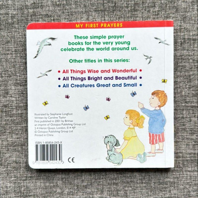 Lord God Made Us All (board book)