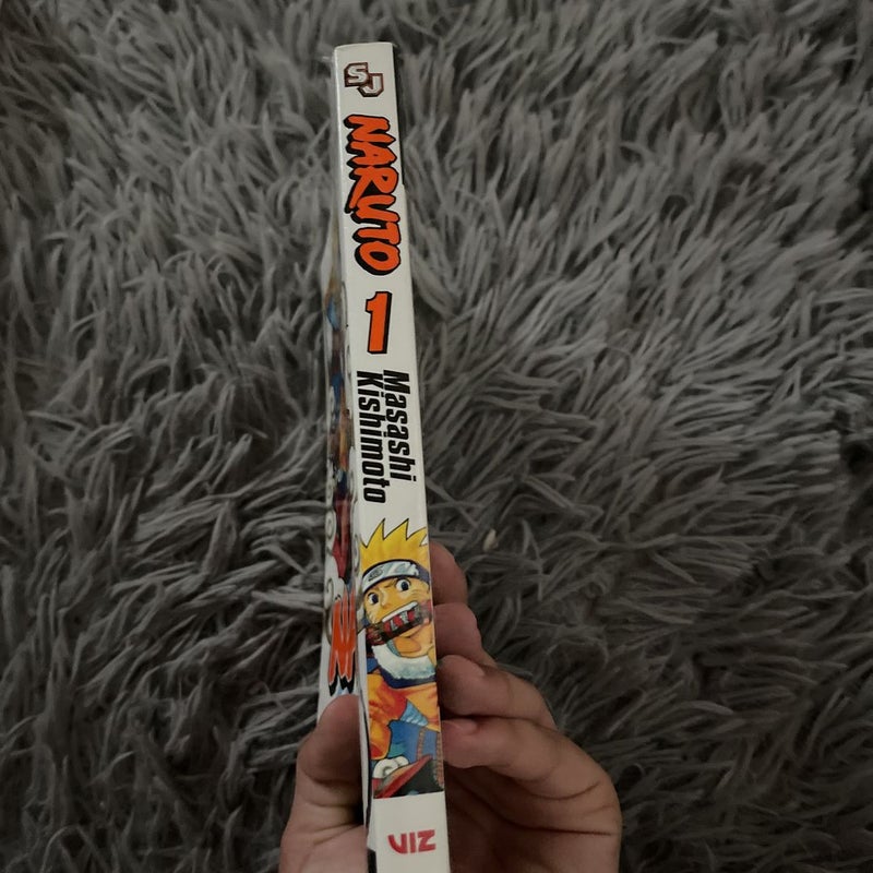 Naruto, Vol. 1
