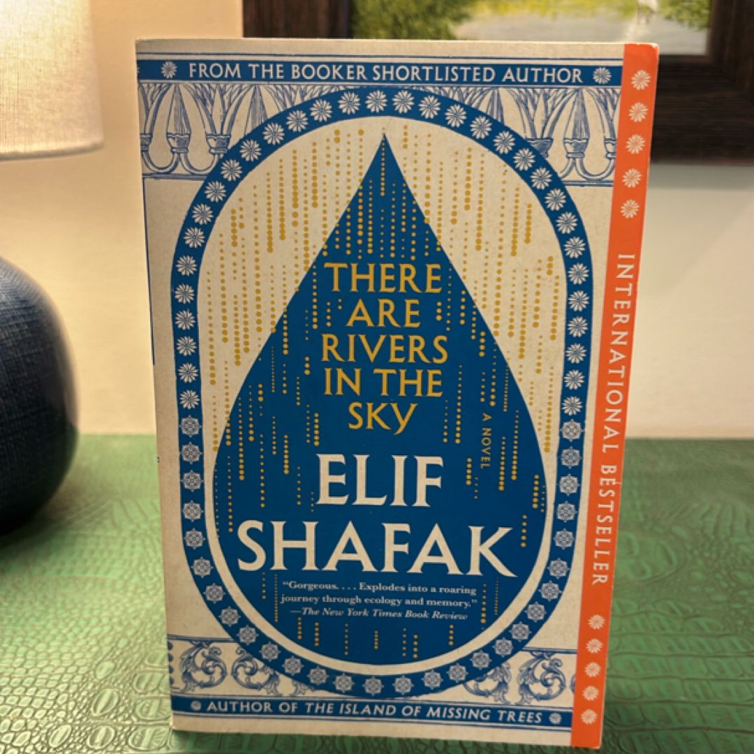 There Are Rivers in the Sky