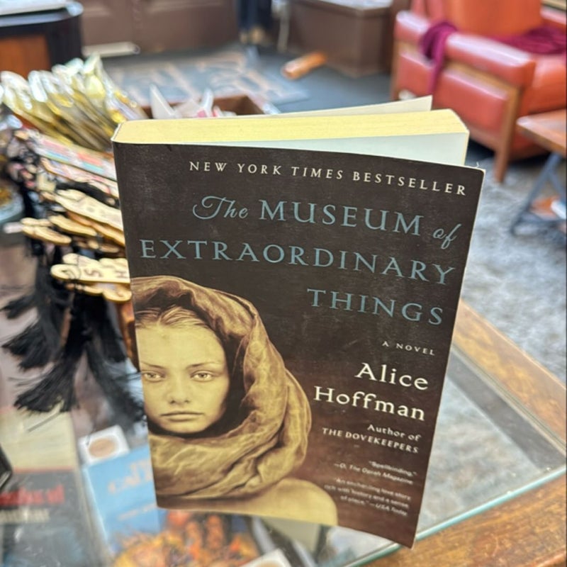 The Museum of Extraordinary Things