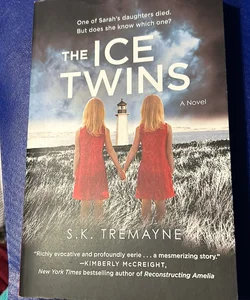 The Ice Twins