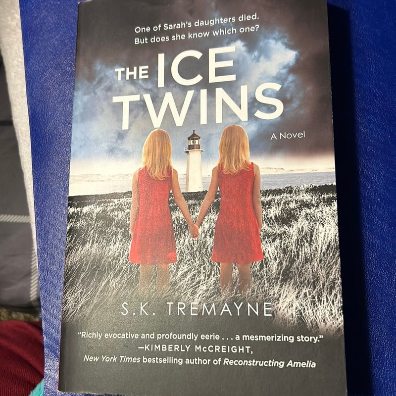The Ice Twins