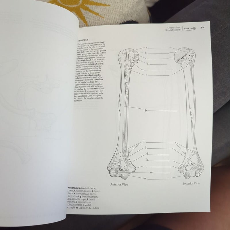 Kaplan Anatomy Coloring Book