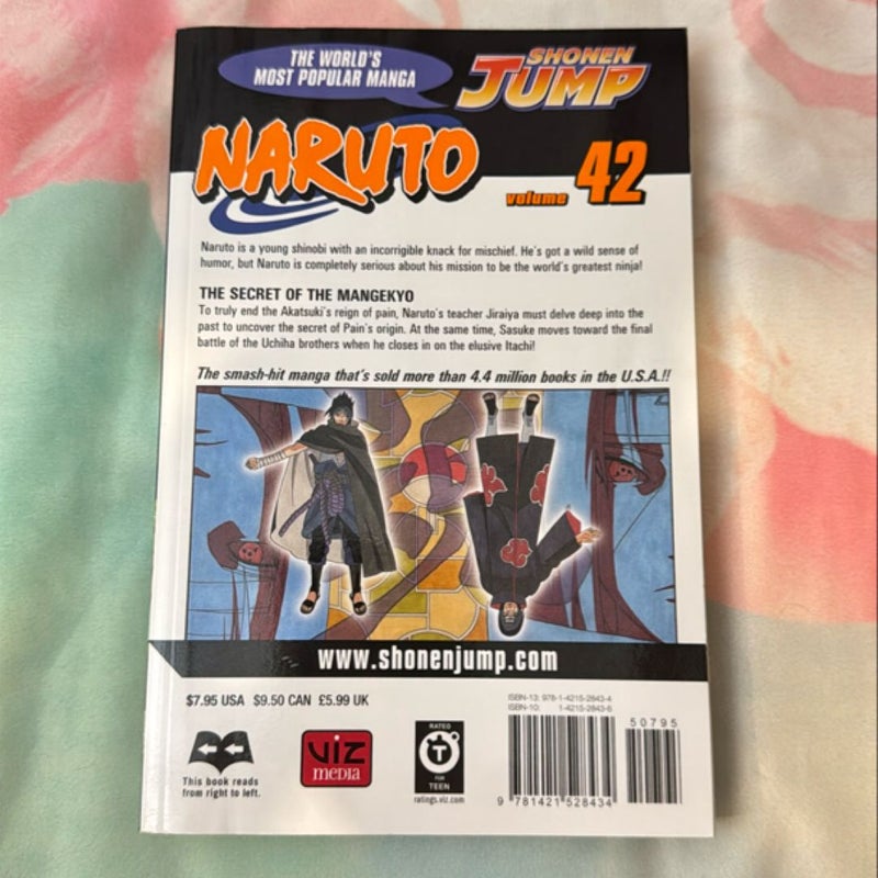 Naruto, Vol. 42