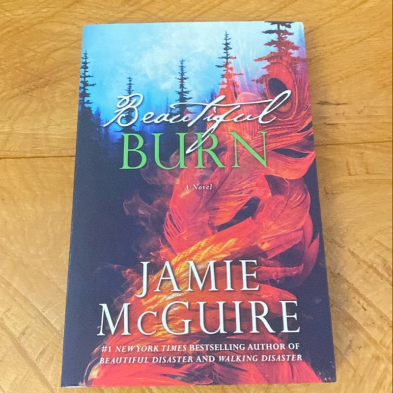 Beautiful Burn by Jamie McGuire, Paperback Pangobooks