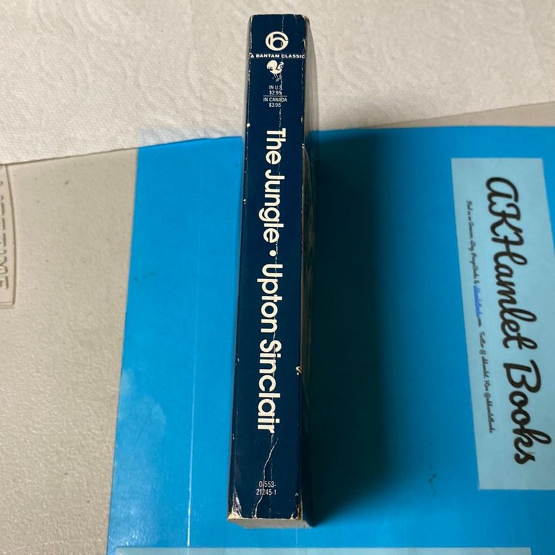 The Jungle by Upton Sinclair; Morris Dickstein, Paperback | Pangobooks