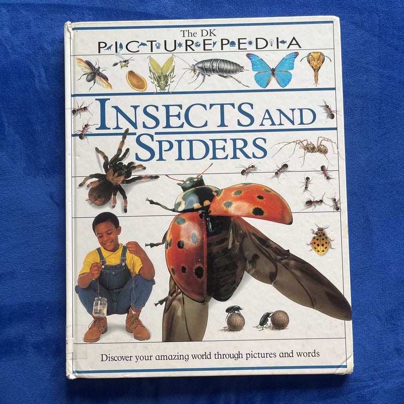 Insects and Spiders