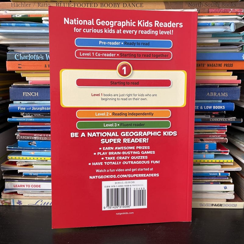 National Geographic Readers: Lions