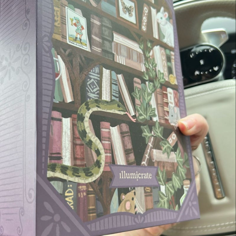Illumicrate dark academia puzzle 