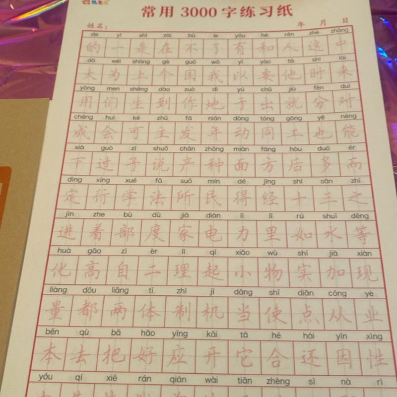 Chinese Workbook+Study Sheets 