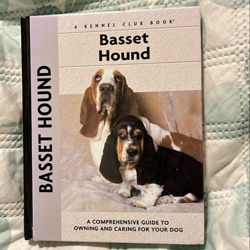 Basset Hound