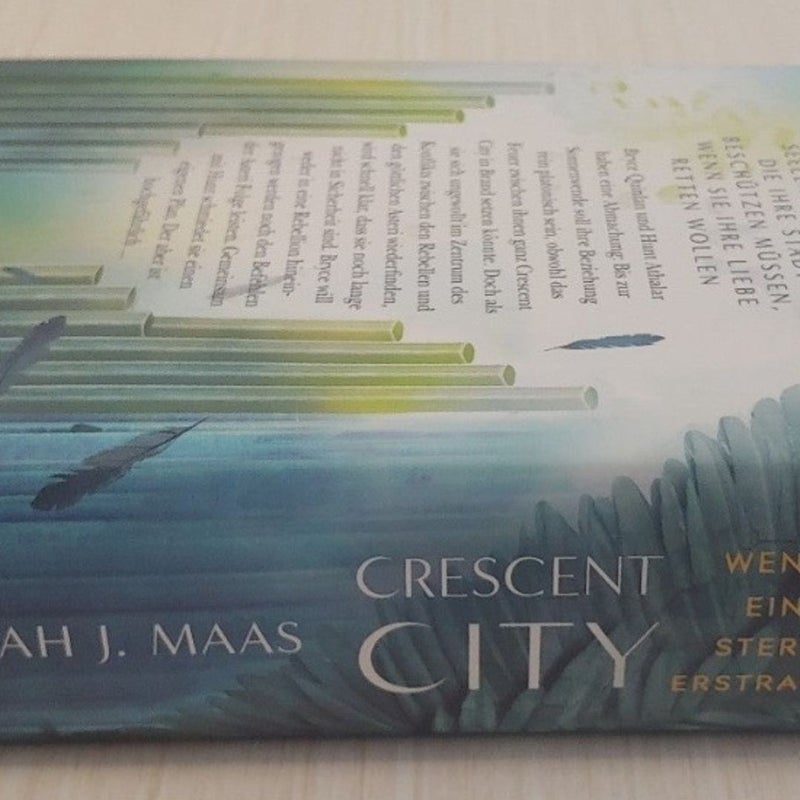 CRESCENT CITY Hand-painted Book Edges Sarah J Maas Earth and Blood Sprayed  Edges Edges Fantasy Books House of Flame 