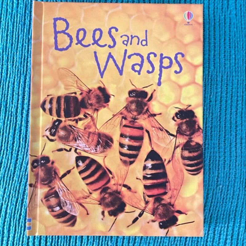 Bees and Wasps