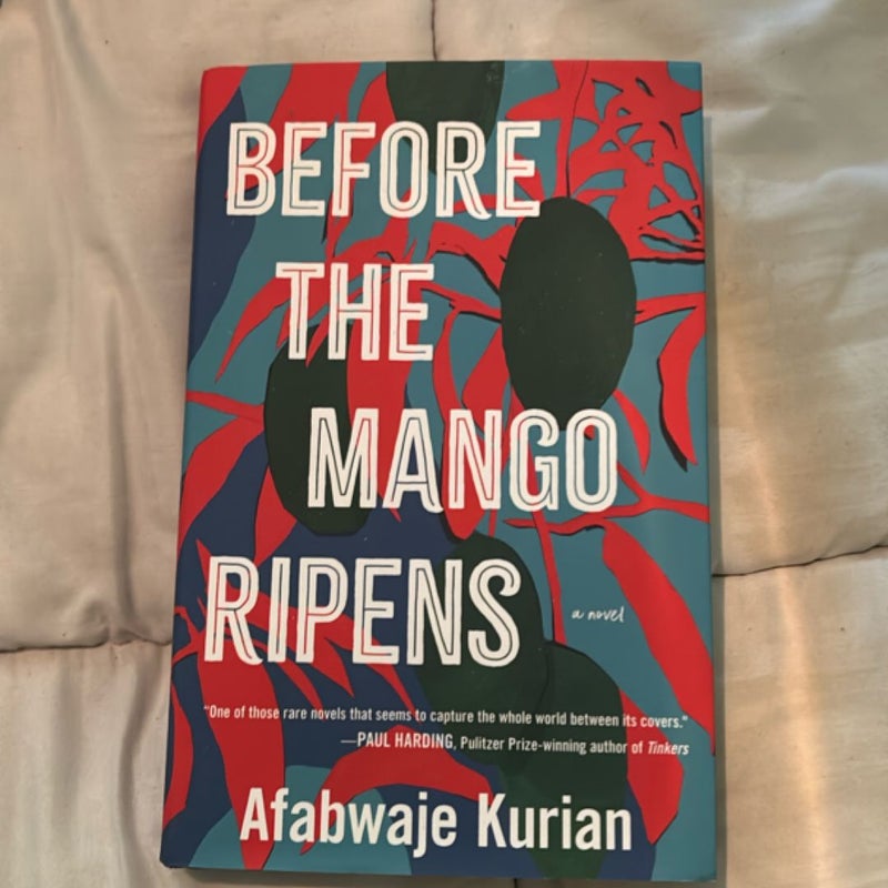 Before the Mango Ripens
