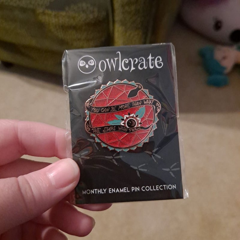 Owlcrate pin