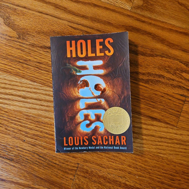 holes by louis sachar hardcover