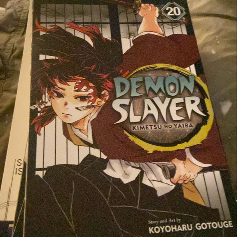 Demon Slayer: Kimetsu No Yaiba, Vol. 20