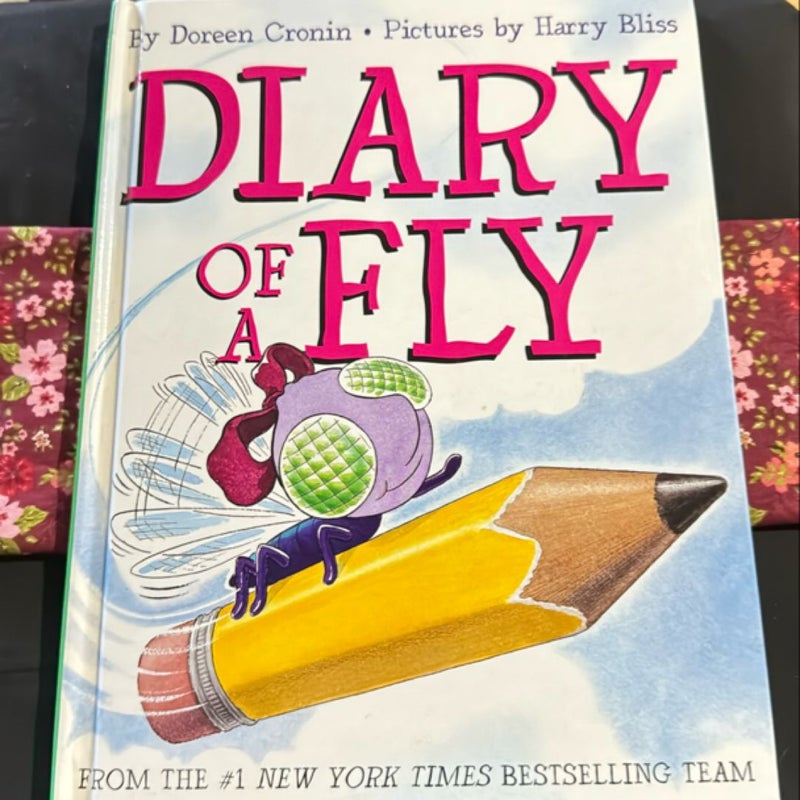 Diary of a Fly