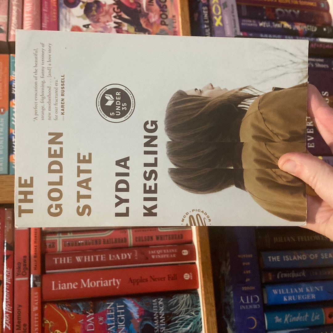 9781250238115 book cover