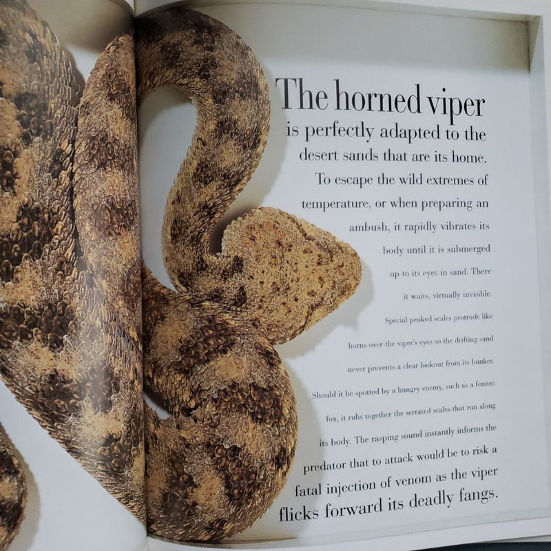 The Snake Book