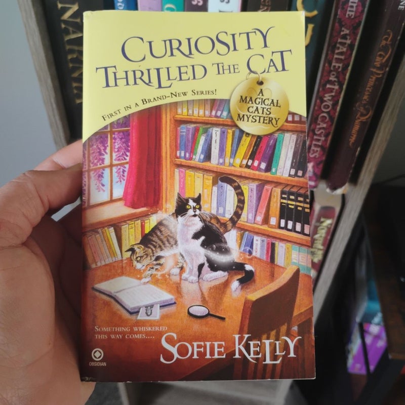 Curiosity Thrilled the Cat