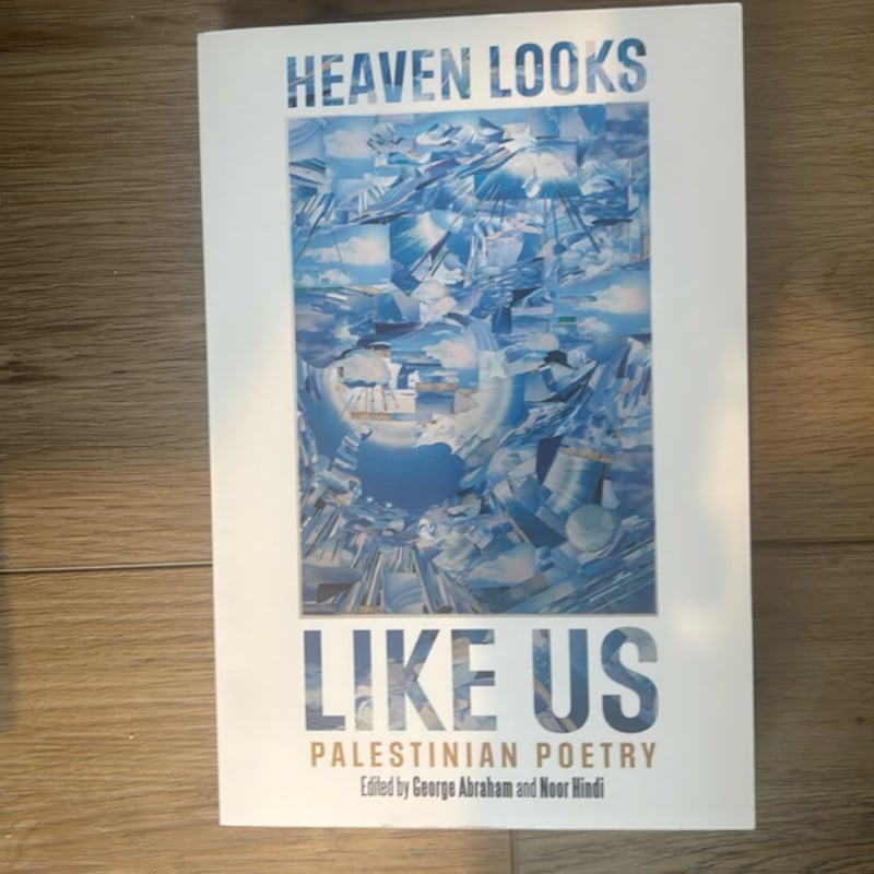 Heaven Looks Like Us by George Abraham