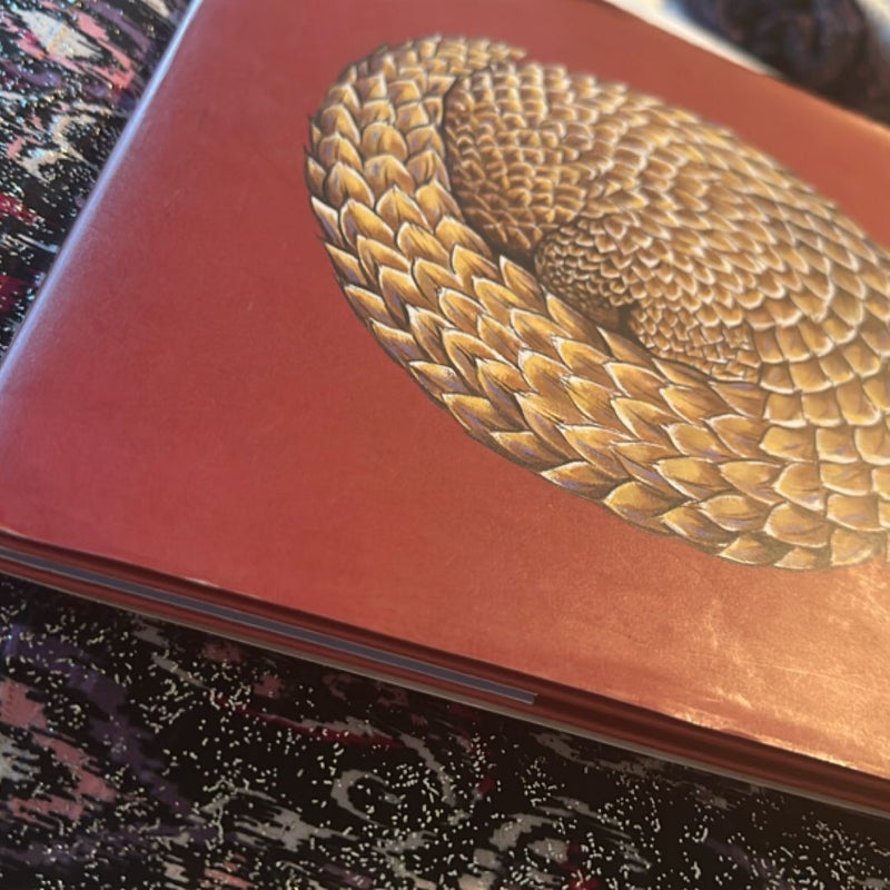 Roly Poly Pangolin