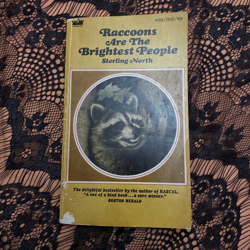 Raccoons are the Brightest People