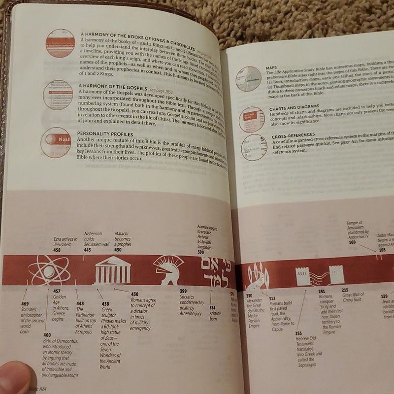 NIV Life Application Study Bible Red Letter Edition [Brown]