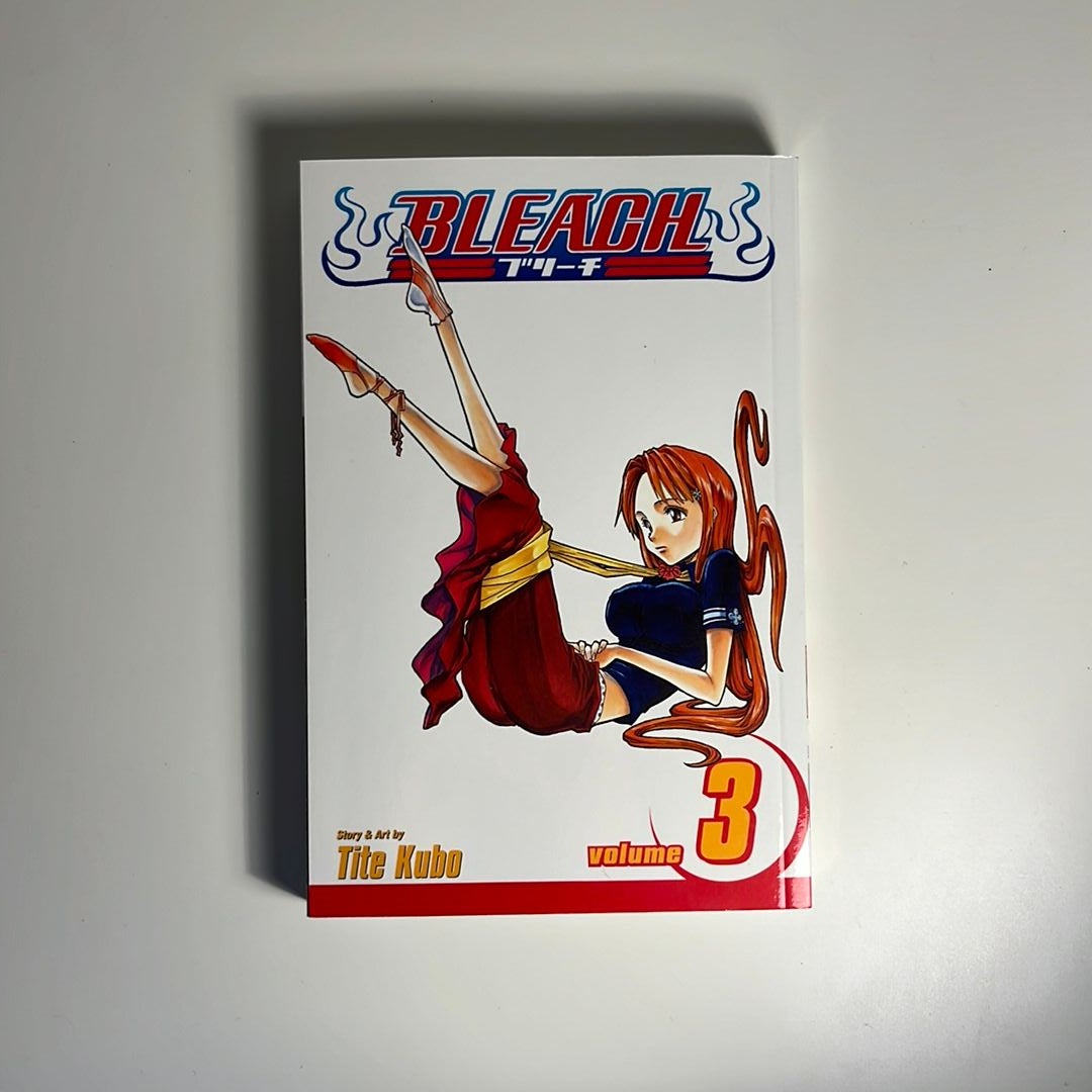 Bleach, Vol. 3