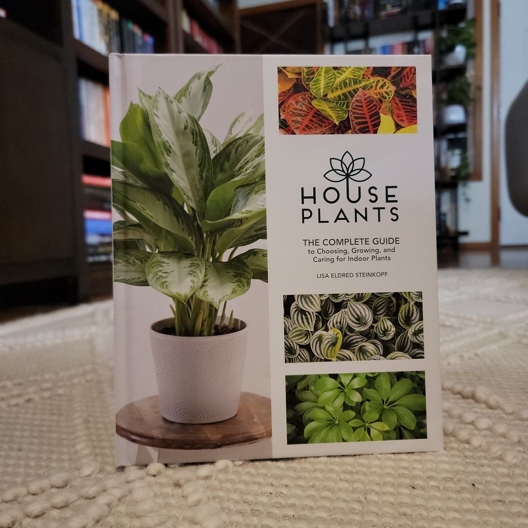 Houseplants by Lisa Eldred Steinkopf