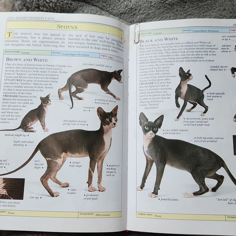 Cats