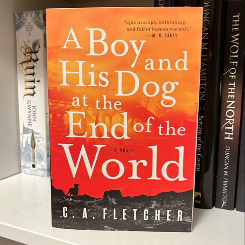 A Boy and His Dog at the End of the World