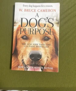 A dogs purpose