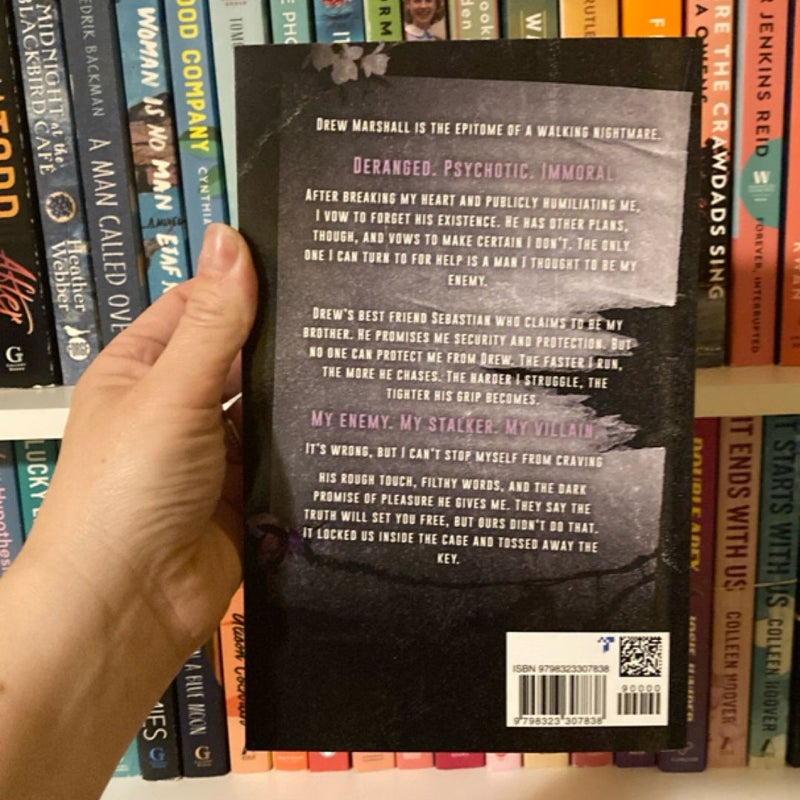 The Wildflower: a Dark New Adult Bully Romance