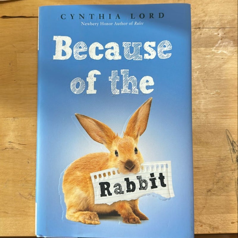 Because of the Rabbit (Scholastic Gold)