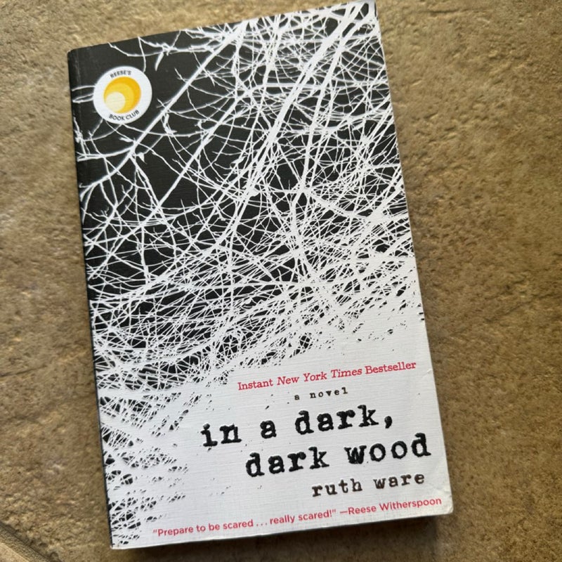 In a Dark, Dark Wood