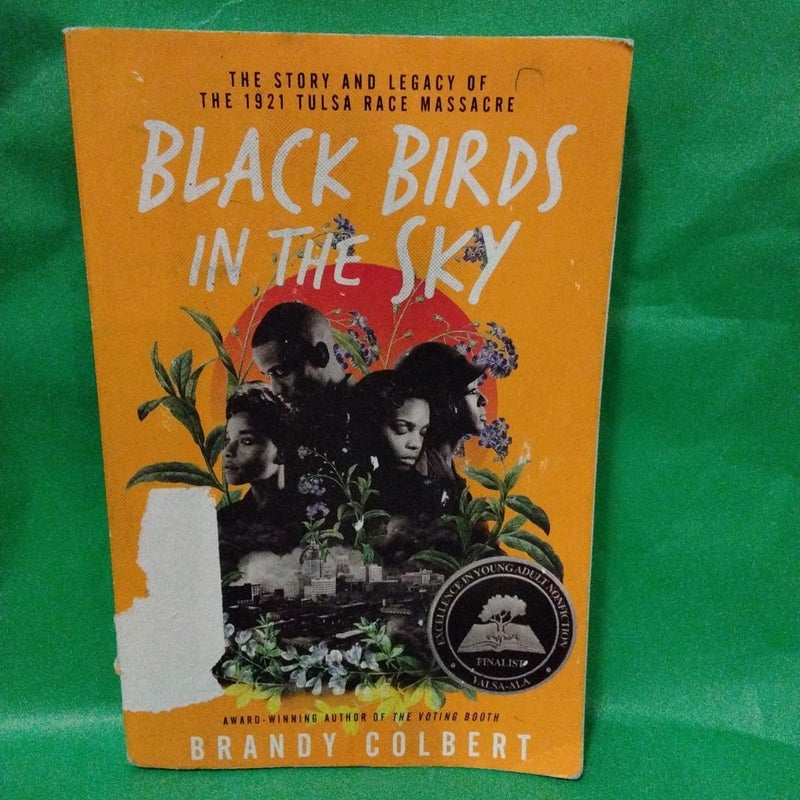 Black Birds in the Sky