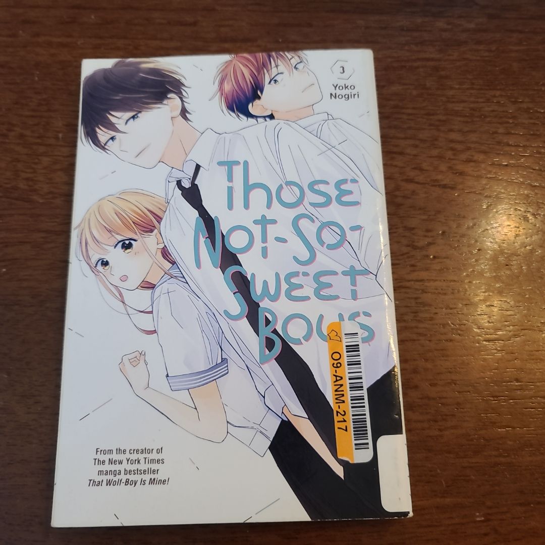 Those Not-So-Sweet Boys 3