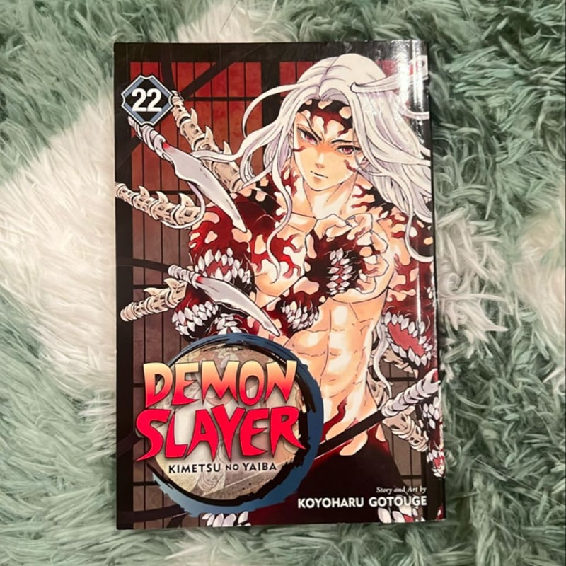 Demon Slayer: Kimetsu No Yaiba, Vol. 22