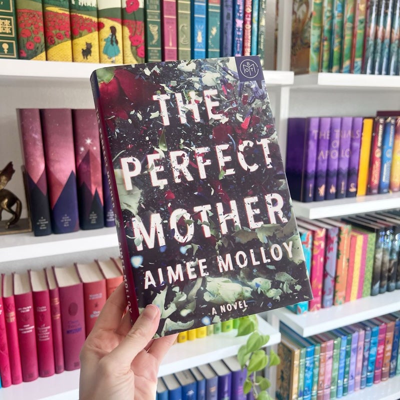 The Perfect Mother