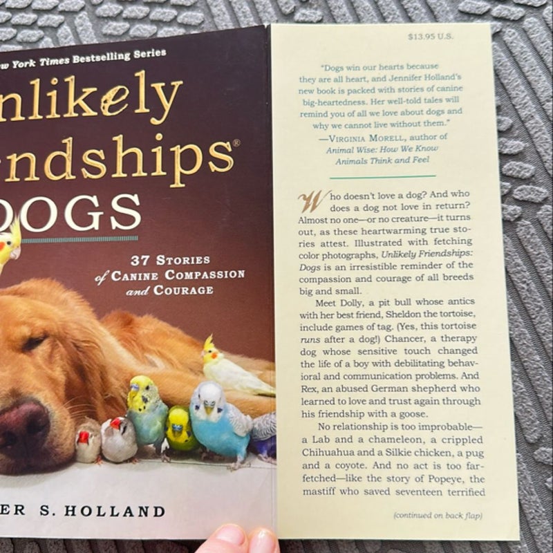 Unlikely Friendships: Dogs