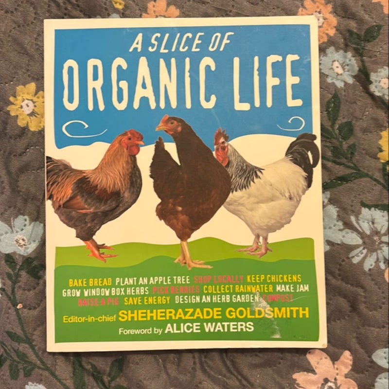 A Slice of Organic Life