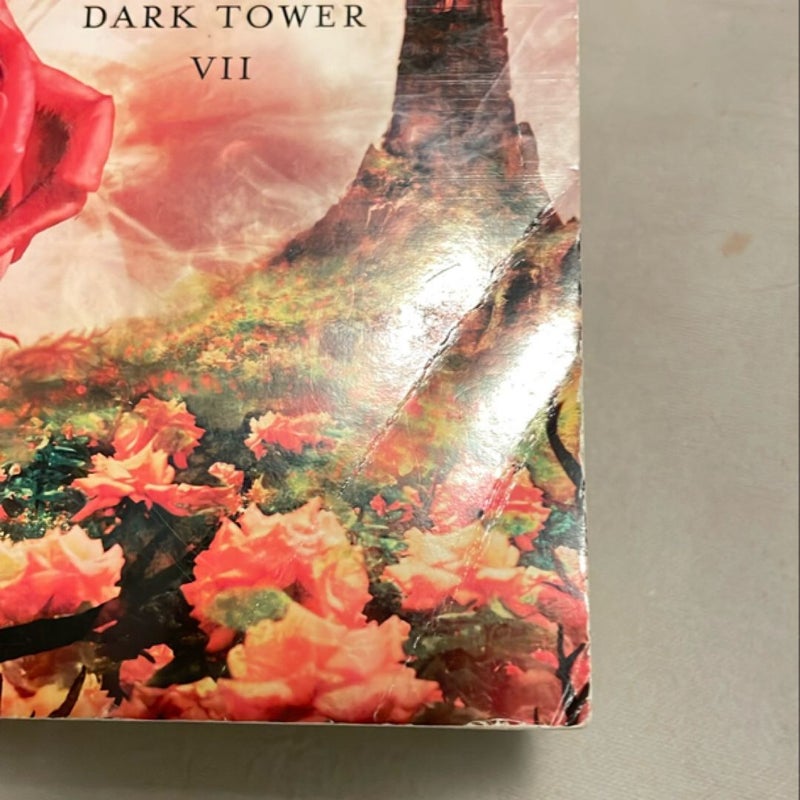 The Dark Tower VII