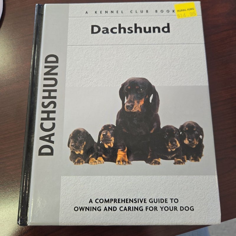 Dachshund